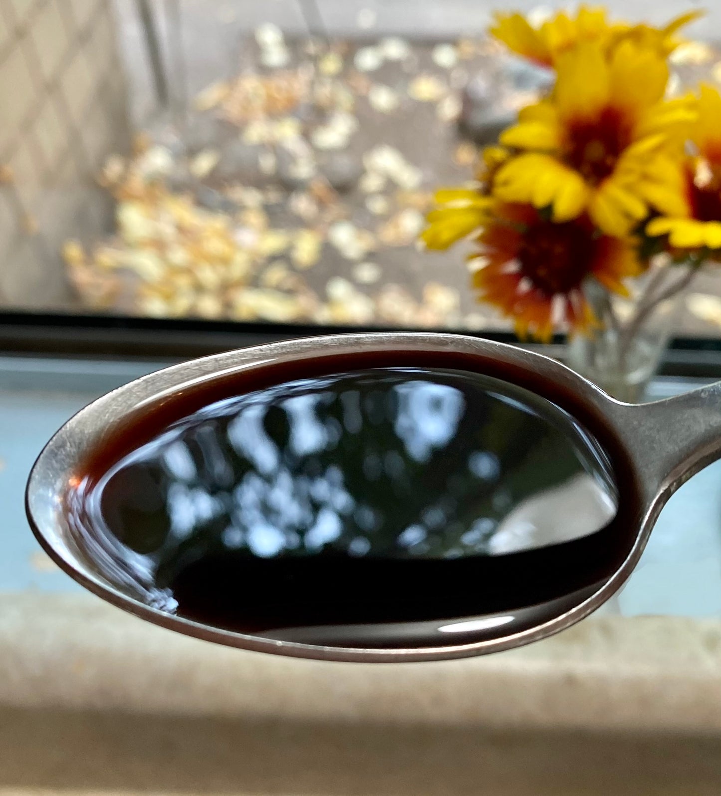 Elderberry Syrup