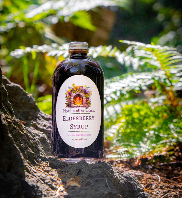 Fire Syrup Local Herbal Remedies, Immune Support. Fire Cider and Elderberry Syrup ...